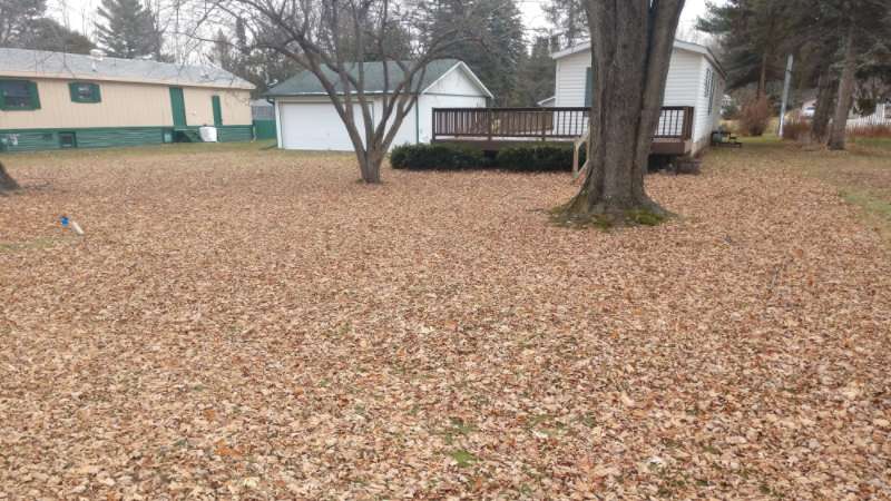 leaf removal C.R. Property Maintenance