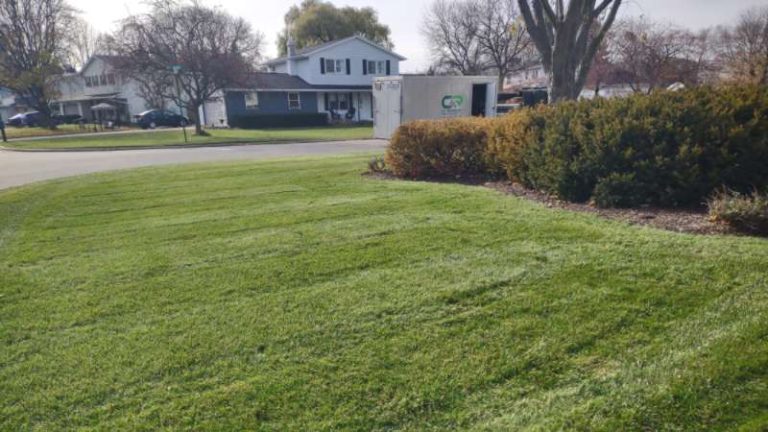 Give Your Lawn a Good Spring Cleanup