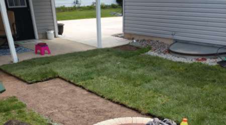 Should You Install Your New Lawn Using Seed Or Sod?