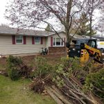 Brush Removal With Skidsteer
